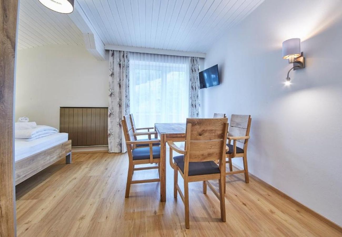 Apartment in Saalbach - Appartement Haus Alexander - Top 3