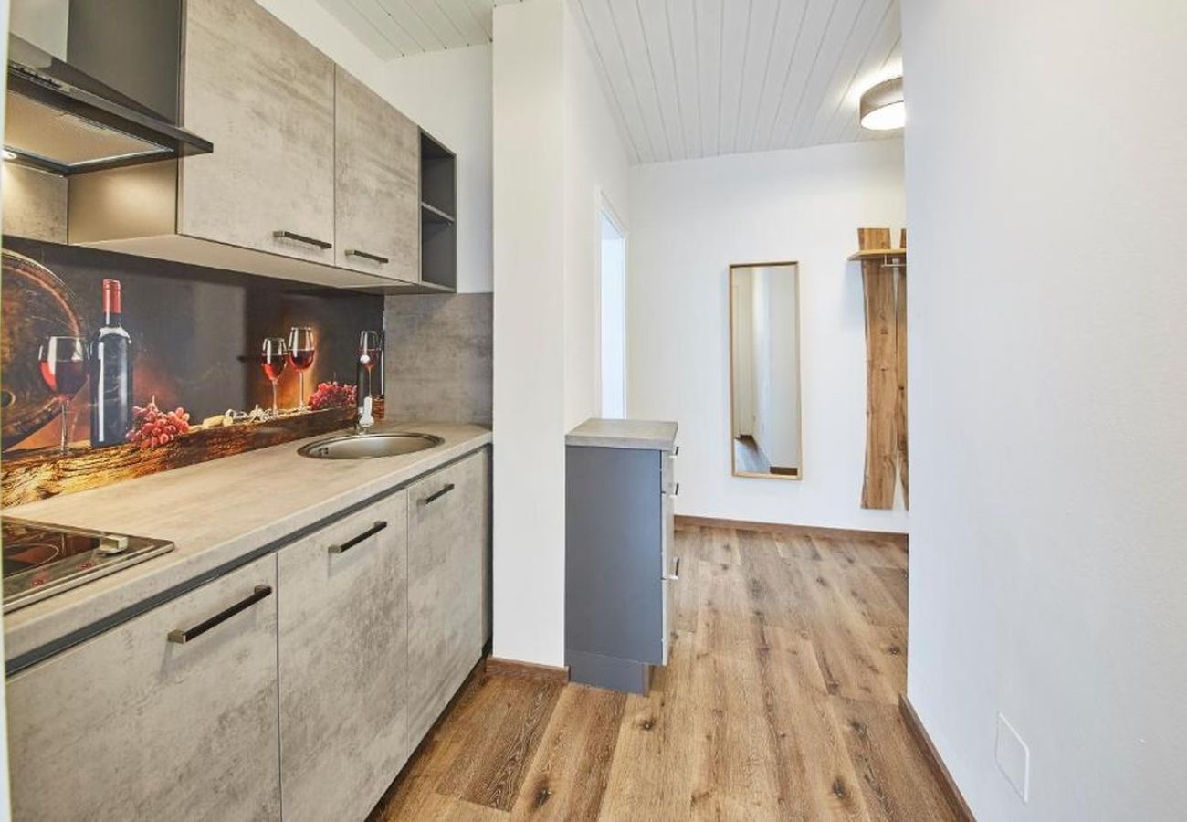 Apartment in Saalbach - Appartement Haus Alexander - Top 4