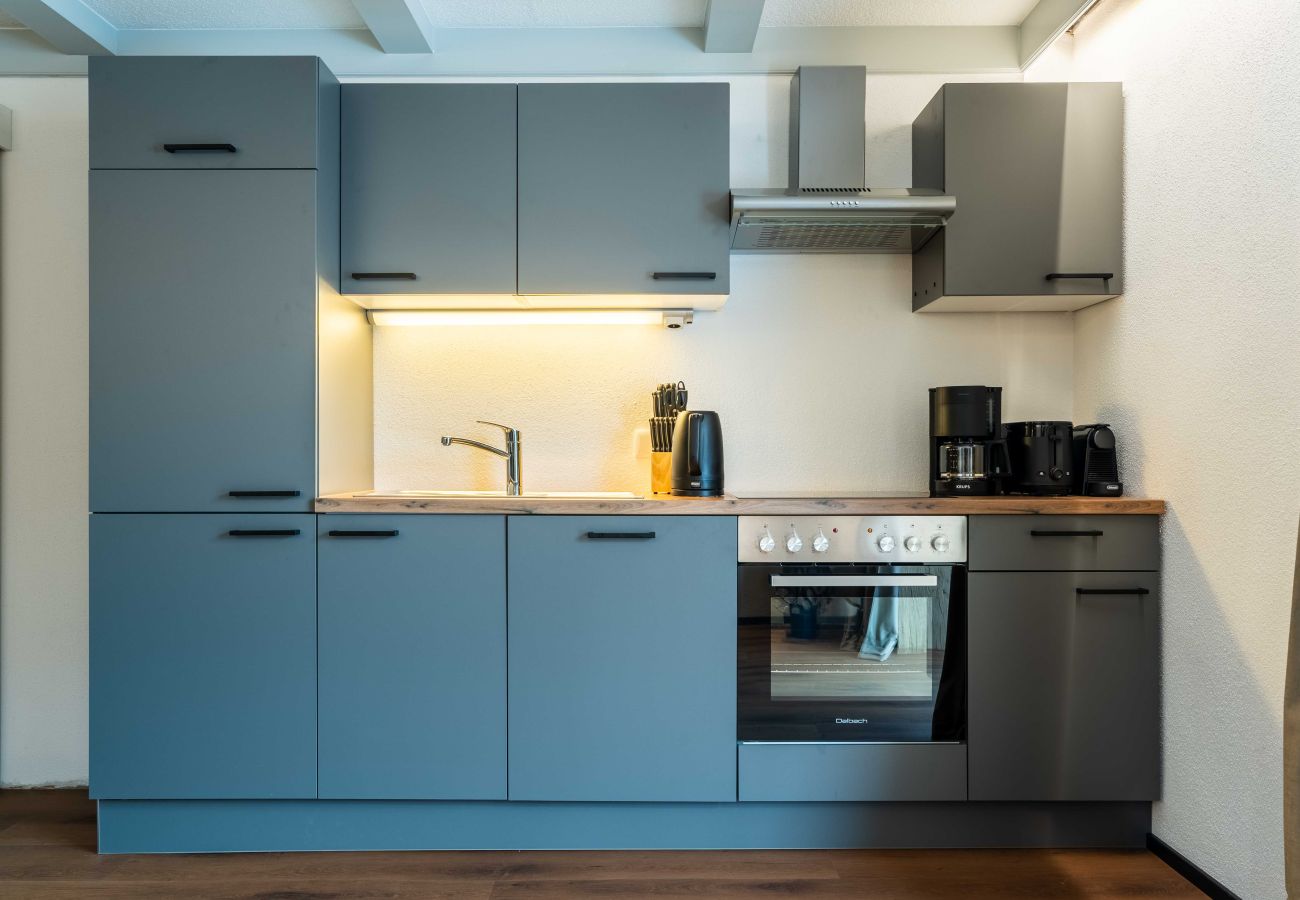 Apartment in Zell am See - Appartement Haus Elise - TOP 4