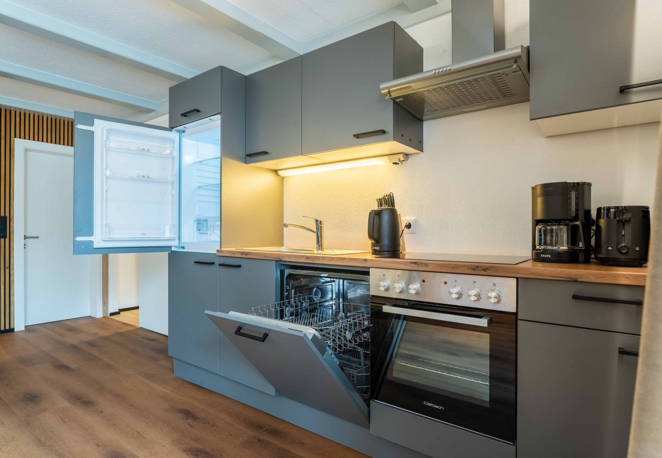 Apartment in Zell am See - Appartement Haus Elise - TOP 4