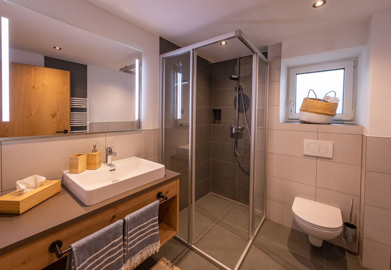 Apartment in Bruck an der Großglocknerstraße - Lennis Apartments - Top 4