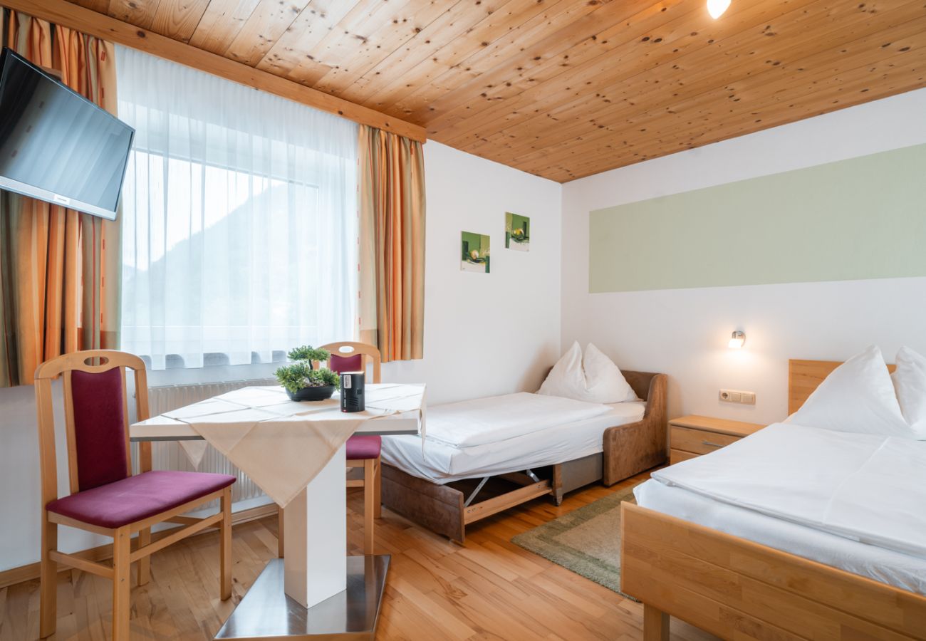 Apartment in Bad Hofgastein - Appartements Sonnberg - Top 3