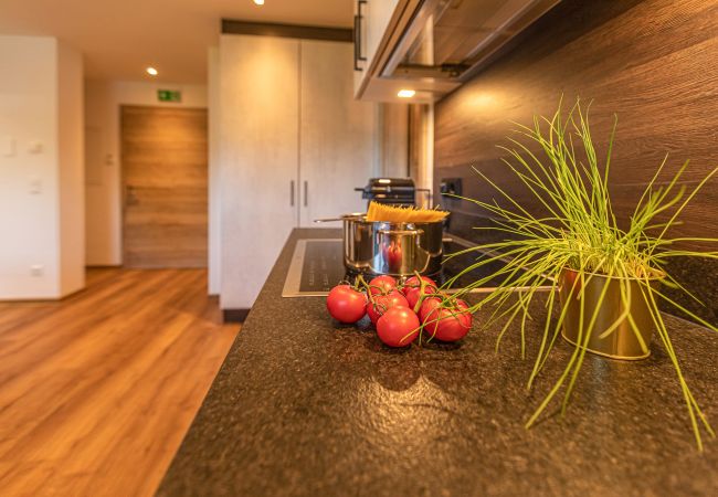 Appartement in Zell am See - Tevini Boutique Suites - Apartment Earth