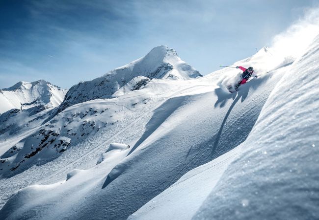 Appartement in Piesendorf - Apartment Alpinero 405 Appartement in Piesendorf - Apartment Alpinero 405