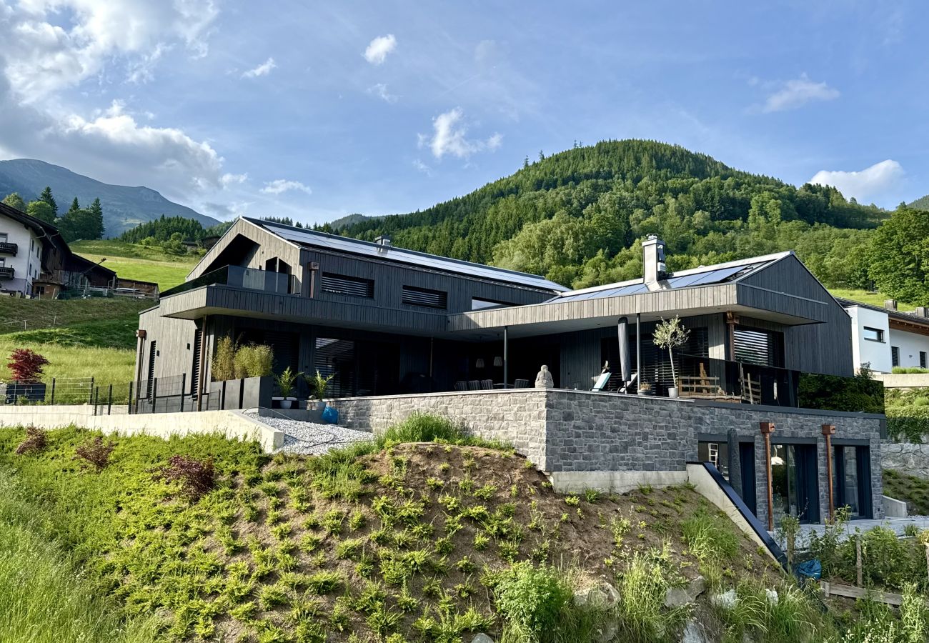 Appartement in Piesendorf - Apartment Alpinero 405