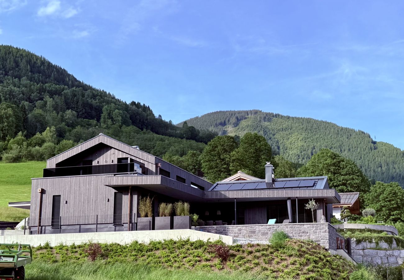 Appartement in Piesendorf - Apartment Alpinero 405