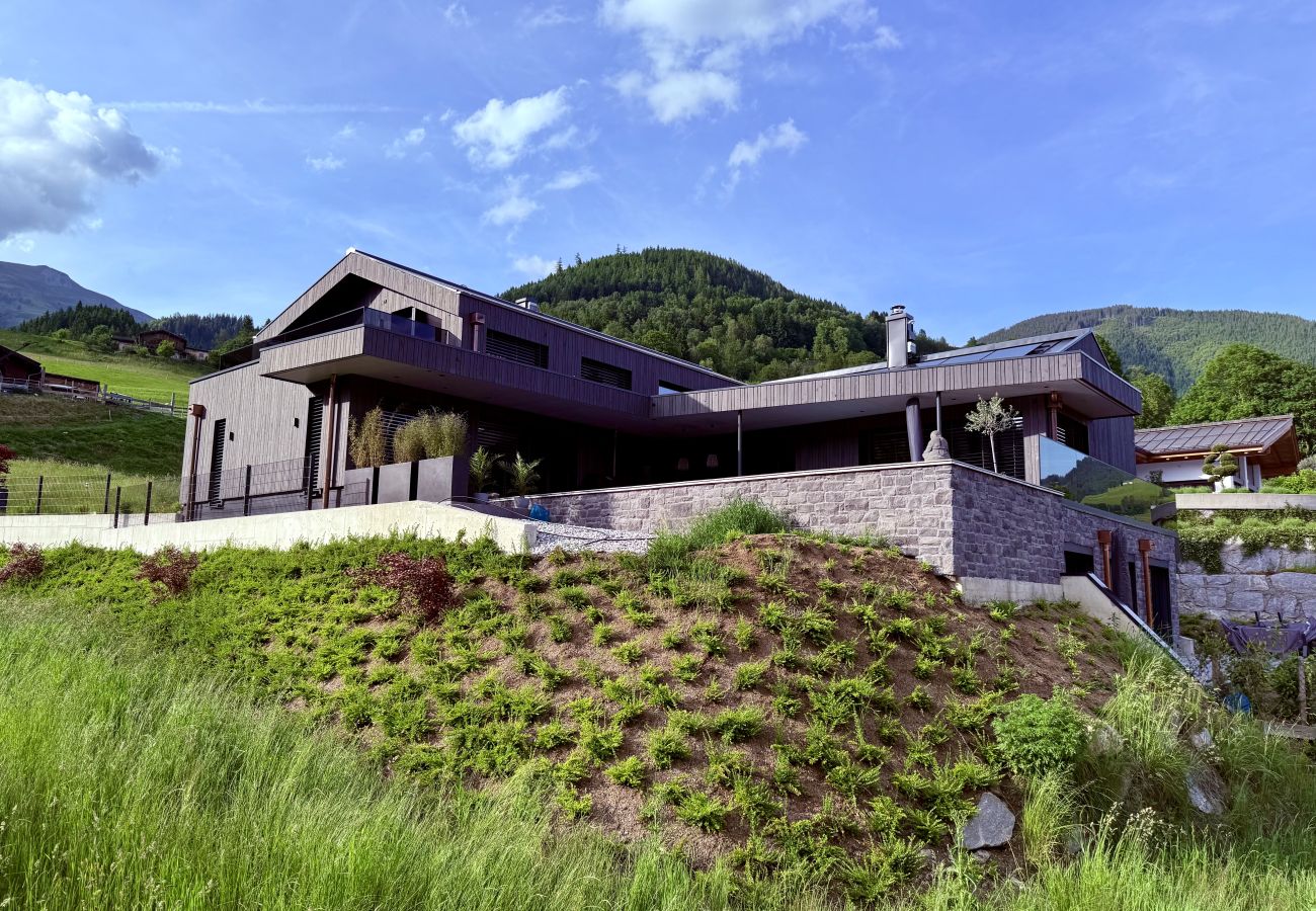 Appartement in Piesendorf - Apartment Alpinero 405