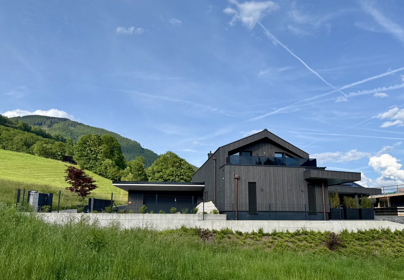Appartement in Piesendorf - Apartment Alpinero 405