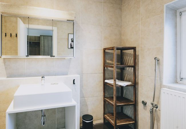 Appartement in Zell am See - Areit Apartments - Top 2 Appartement in Zell am See - Areit Apartments - Top 2