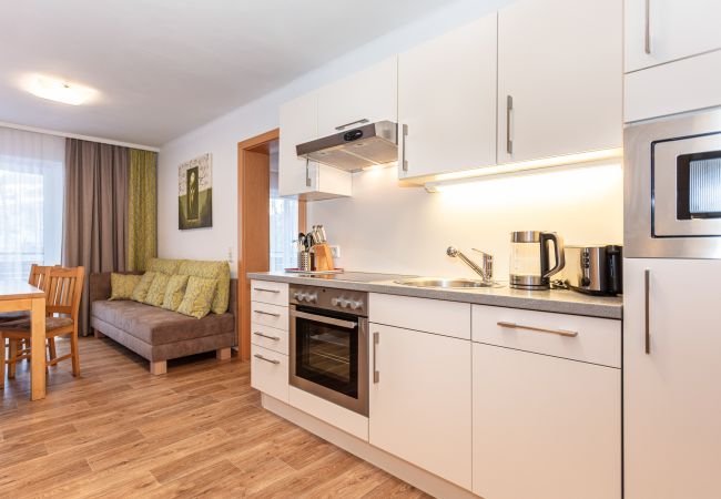 Appartement in Saalbach - Appartements Hollin - Top 1 Appartement in Saalbach - Appartements Hollin - Top 1