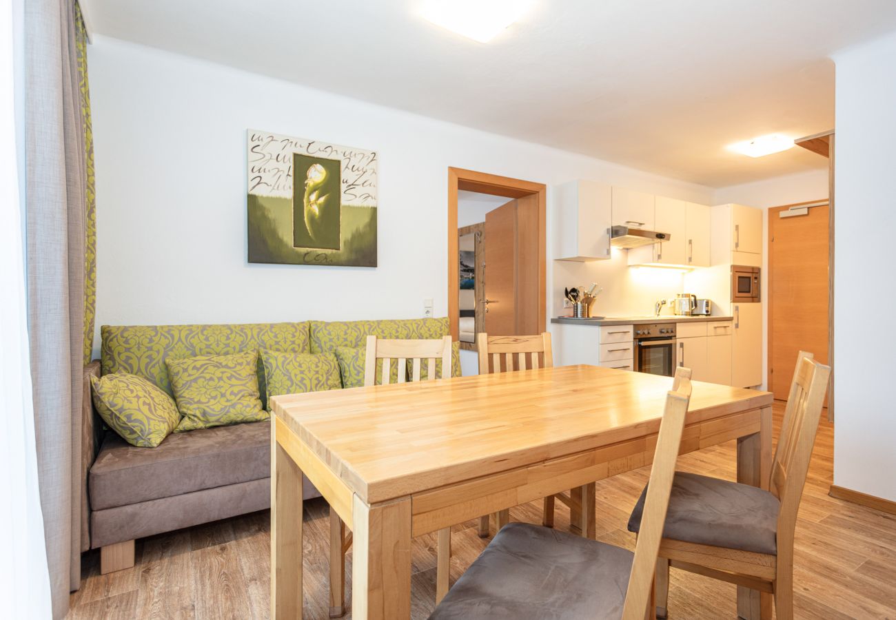 Appartements Hollin in Saalbach by we rent apartments