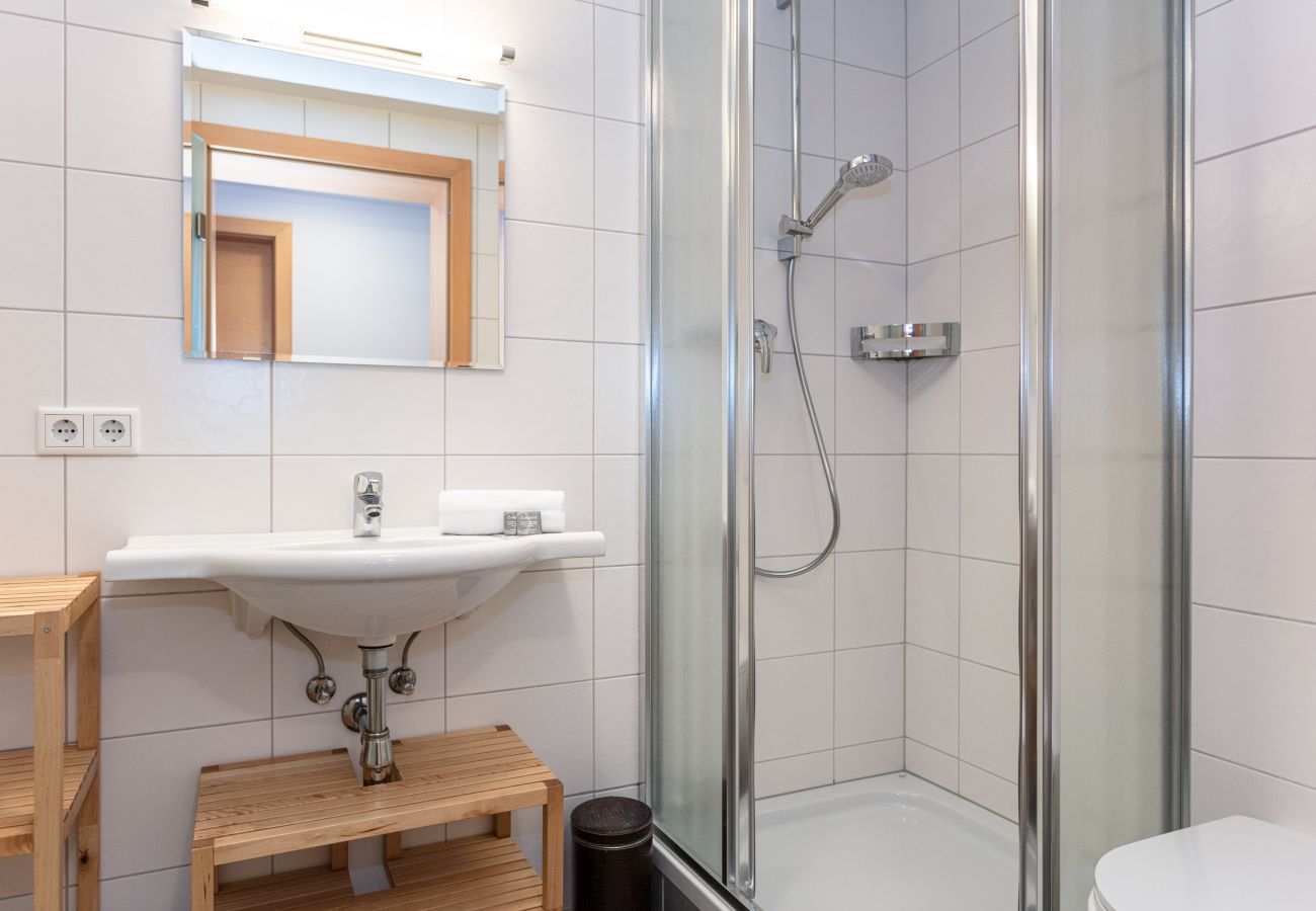 Appartement in Saalbach - Appartements Hollin - Top 2