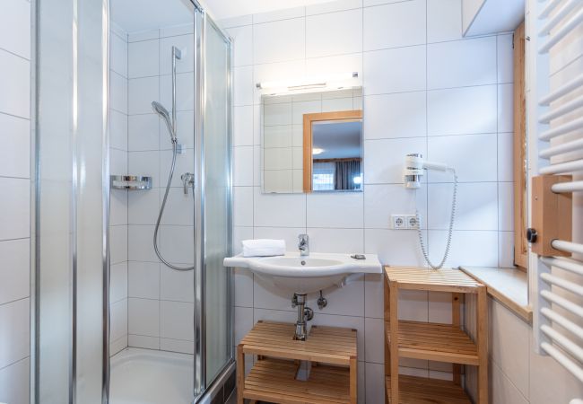 Appartement in Saalbach - Appartements Hollin - Top 3 Appartement in Saalbach - Appartements Hollin - Top 3