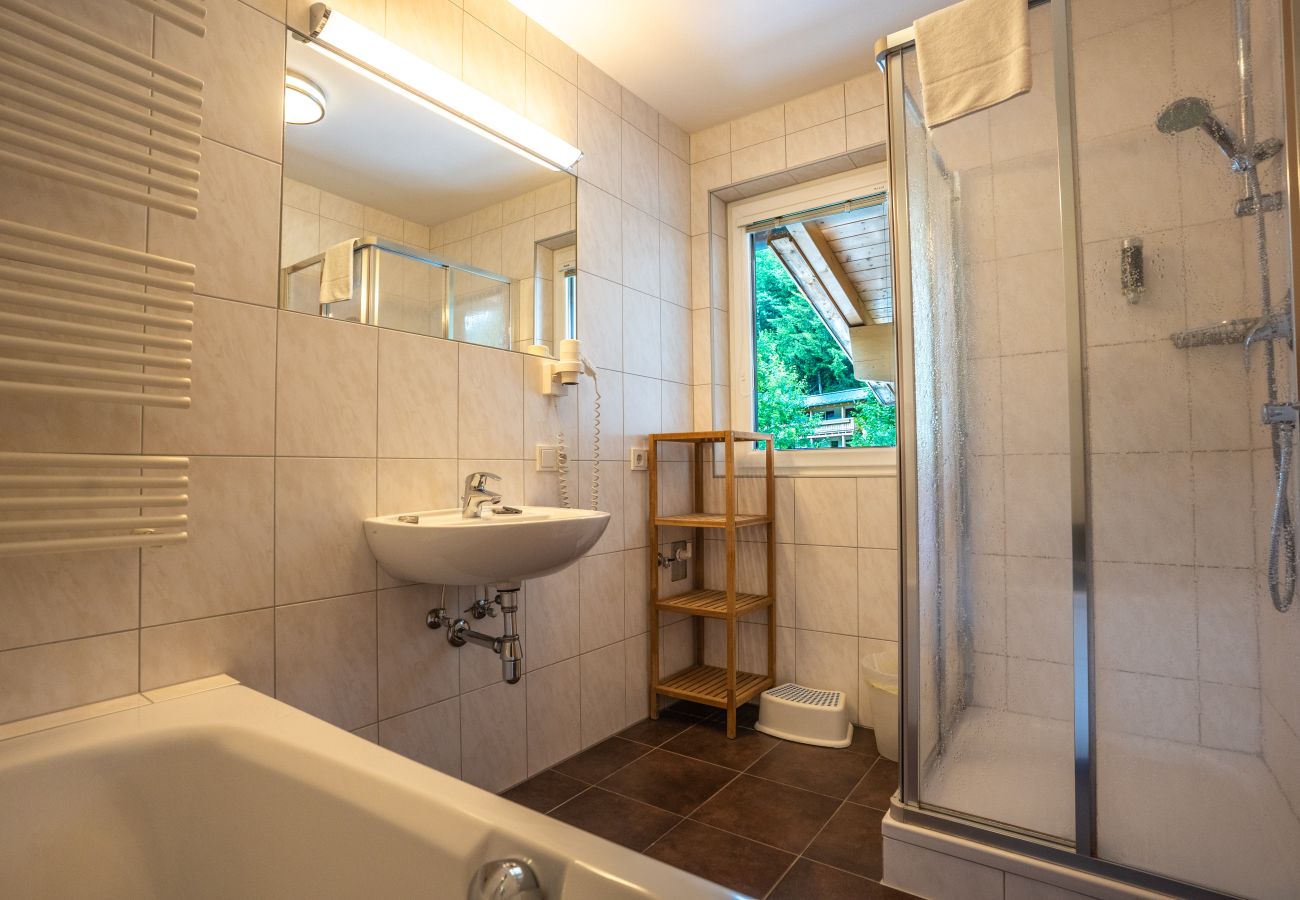Appartement in Viehhofen - Appartement MaLo - Top 4