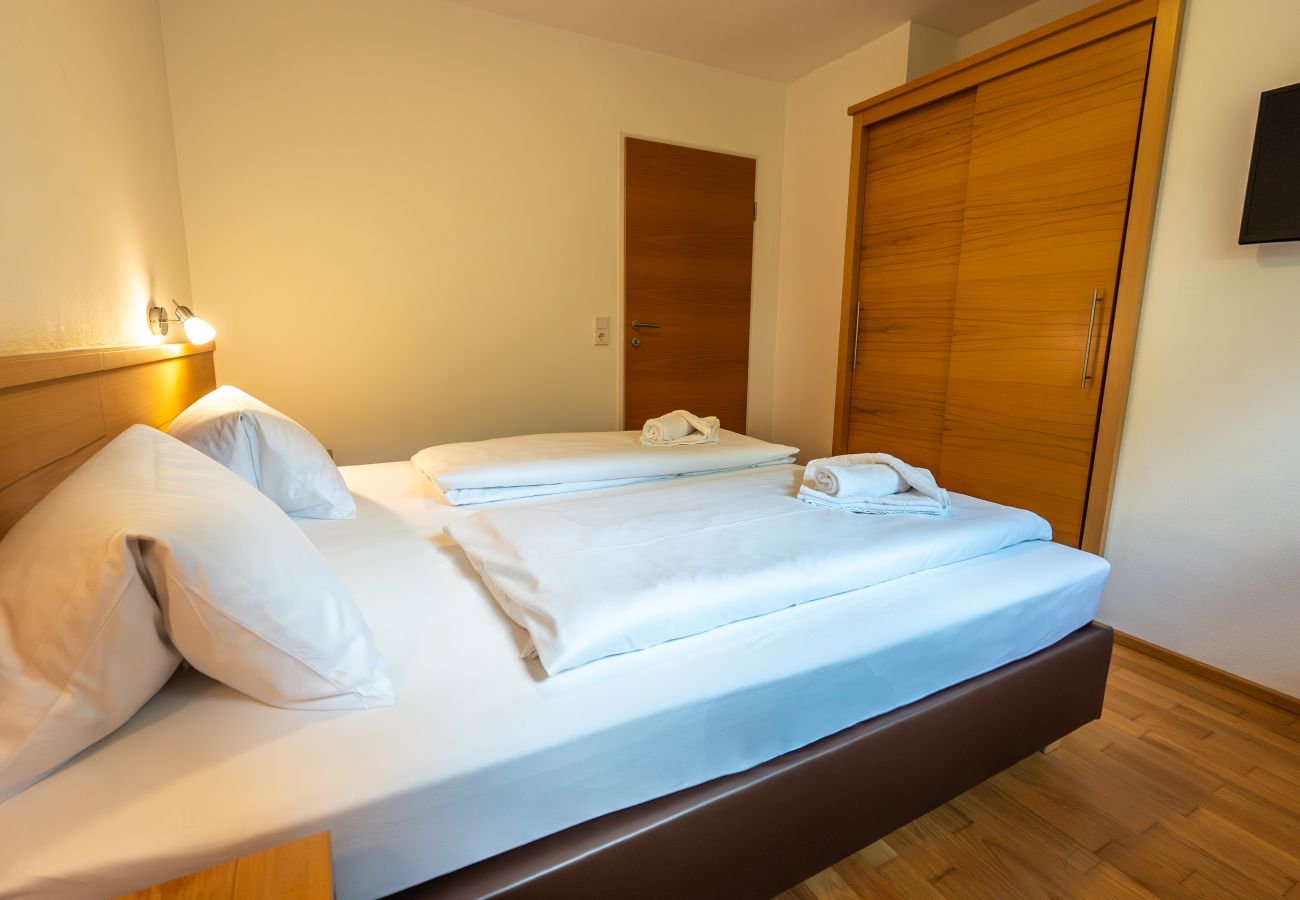 Appartement in Viehhofen - Appartement MaLo - Top 4