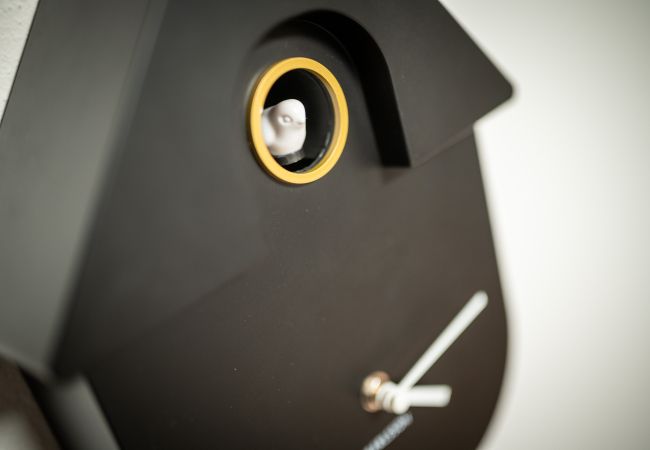 Appartement in Maria Alm am Steinernen Meer - KUCKUCK Hinterthal - Top 2 Appartement in Maria Alm am Steinernen Meer - KUCKUCK Hinterthal - Top 2