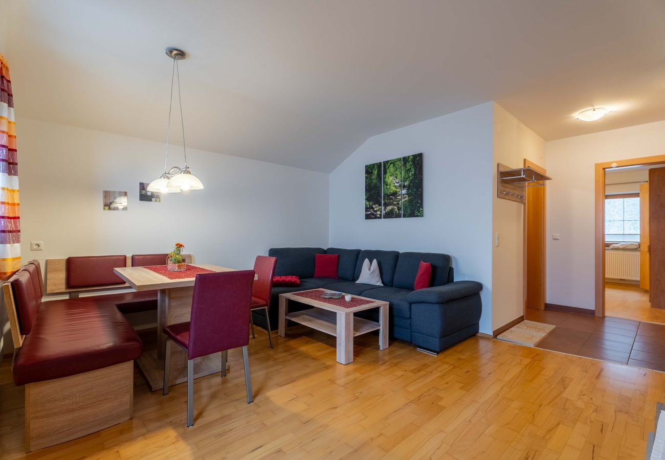 Appartement in Bad Hofgastein - Weitblick Appartements - TOP 1