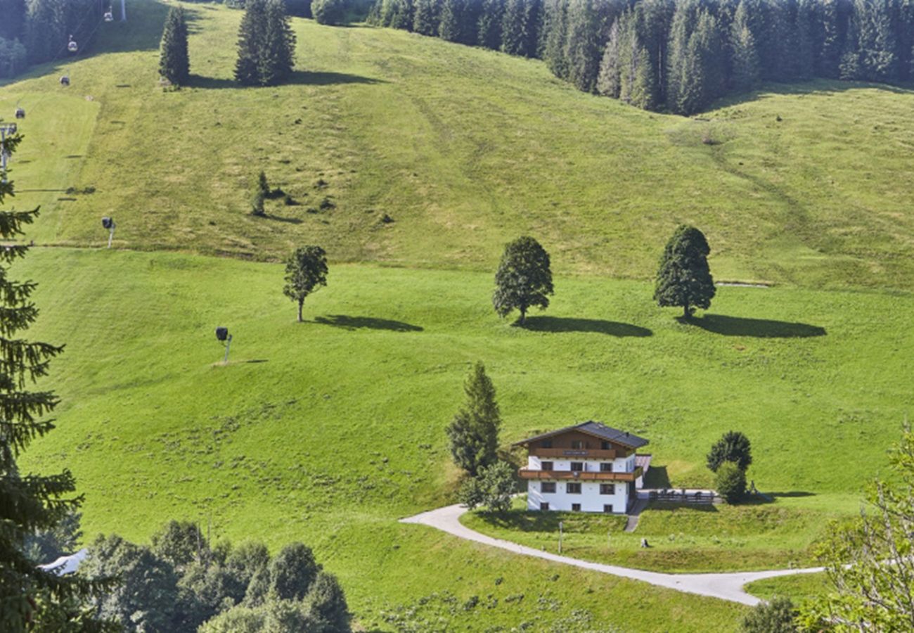 Appartement in Saalbach - Chalet Wallehen - TOP 5