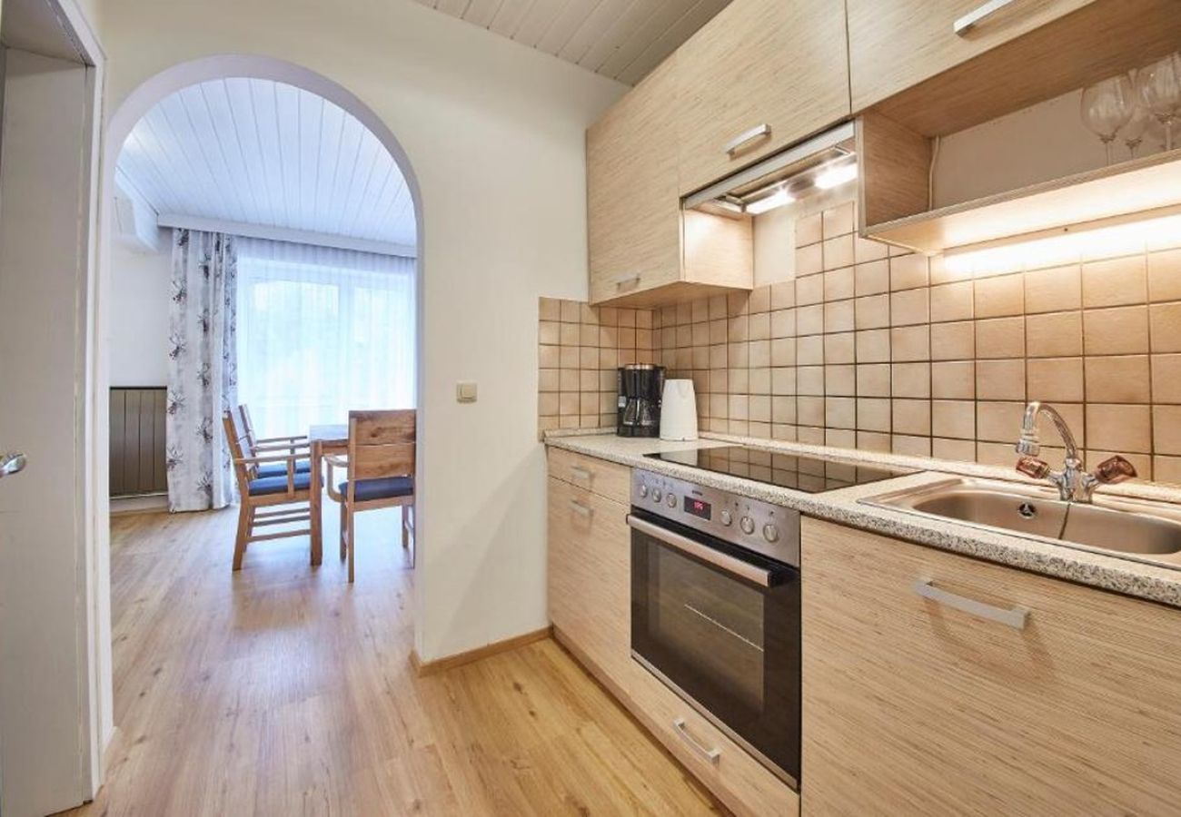 Appartement in Saalbach - Appartement Haus Alexander - Top 3