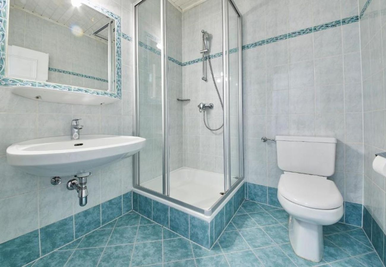 Appartement in Saalbach - Appartement Haus Alexander - Top 4