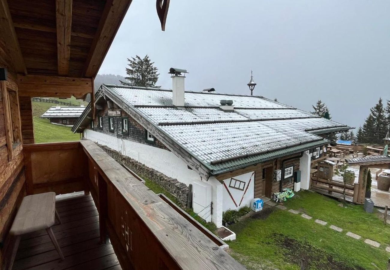 Chalet in Saalbach - Panorama Alm Chalet - Jägersruh Zwei