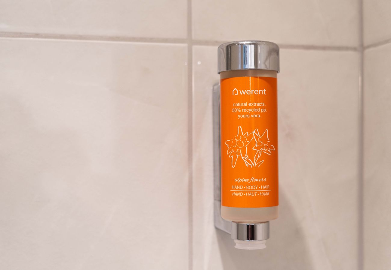 Appartement in Zell am See - Appartement Haus Elise - TOP 4