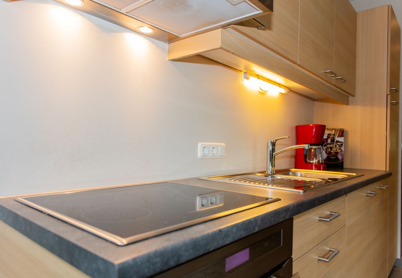 Appartement in Saalfelden am Steinernen Meer - Gästehaus Osterthor - Ferienwohnung Hinterreit