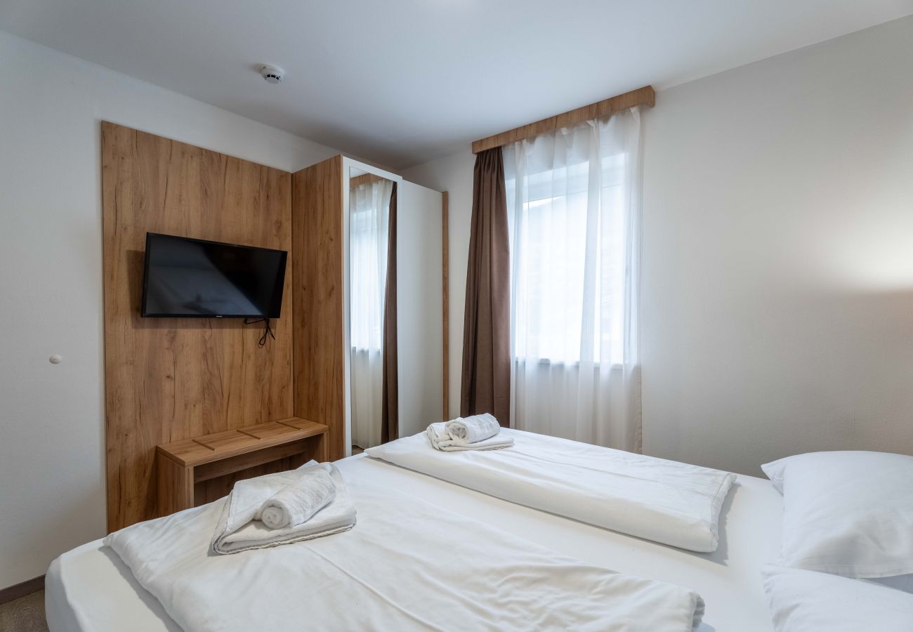 Appartement in Piesendorf - Maiskogelblick - TOP 13