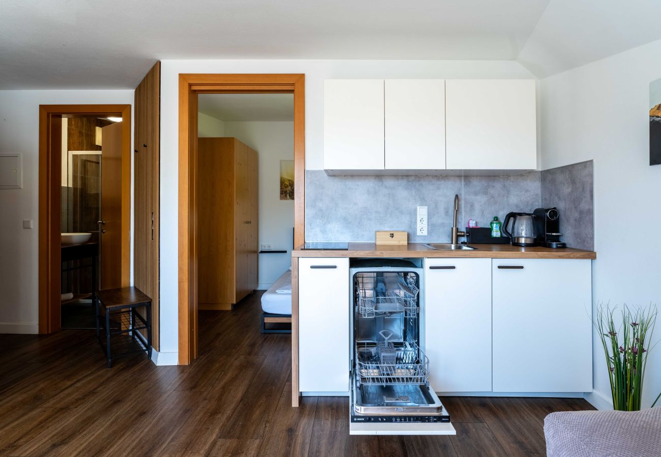 Appartement in Piesendorf - Maiskogelblick - TOP 14