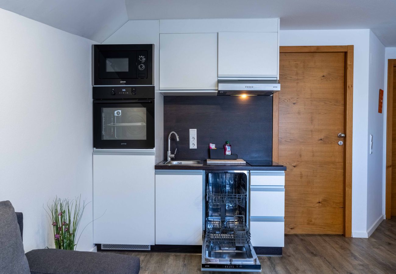 Appartement in Piesendorf - Maiskogelblick - TOP 17