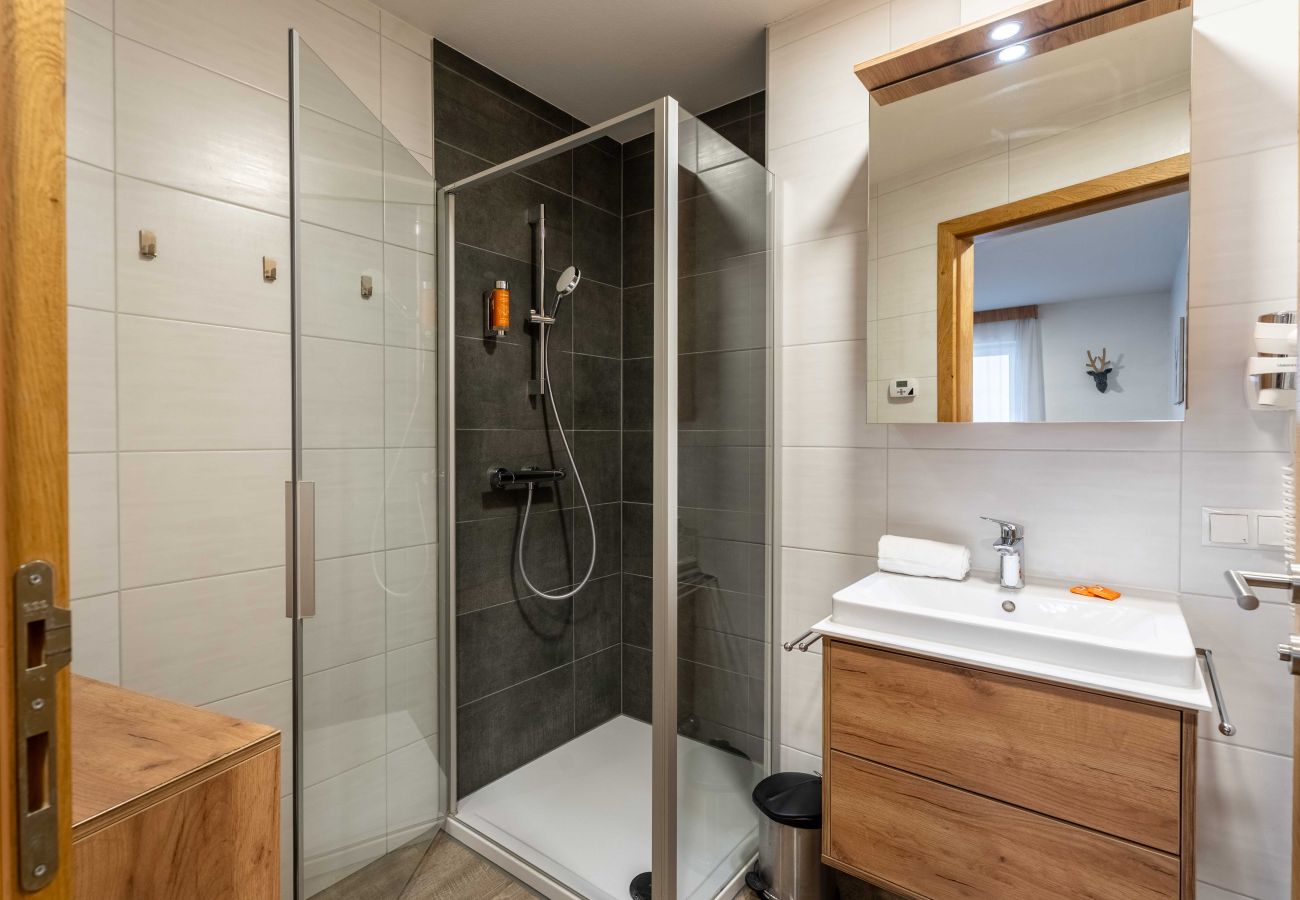 Appartement in Piesendorf - Maiskogelblick - TOP 3