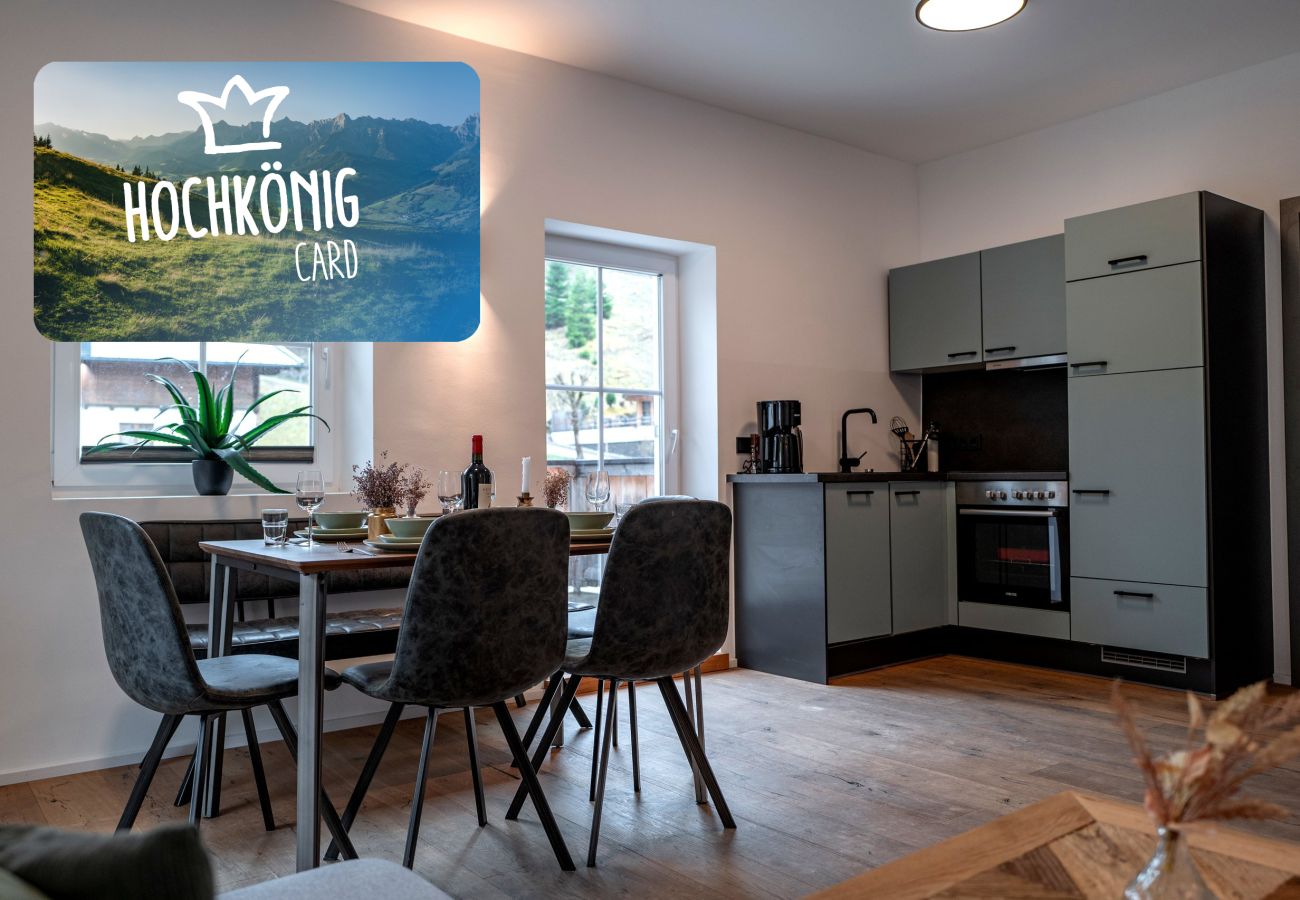 Appartement in Dienten am Hochkönig - Apartments VALI Hochkönig - TOP 1