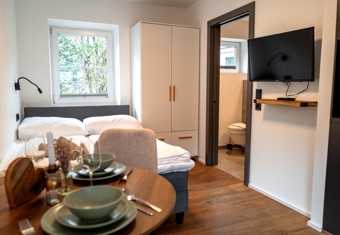 Appartement in Dienten am Hochkönig - Apartments VALI Hochkönig - TOP 2