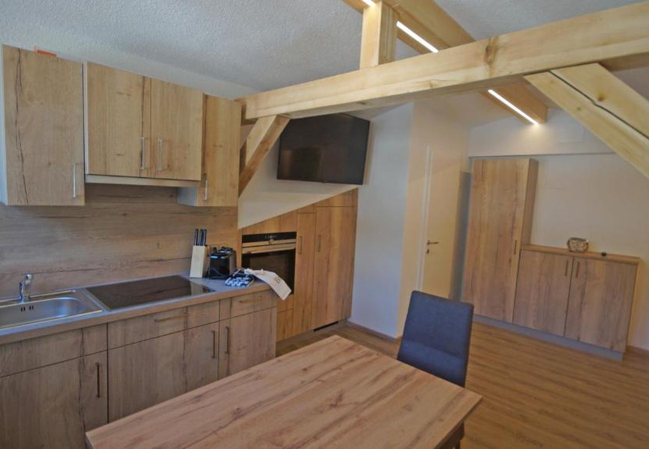 Appartement in Dienten am Hochkönig - Apartment Haus Dienten - Top 9