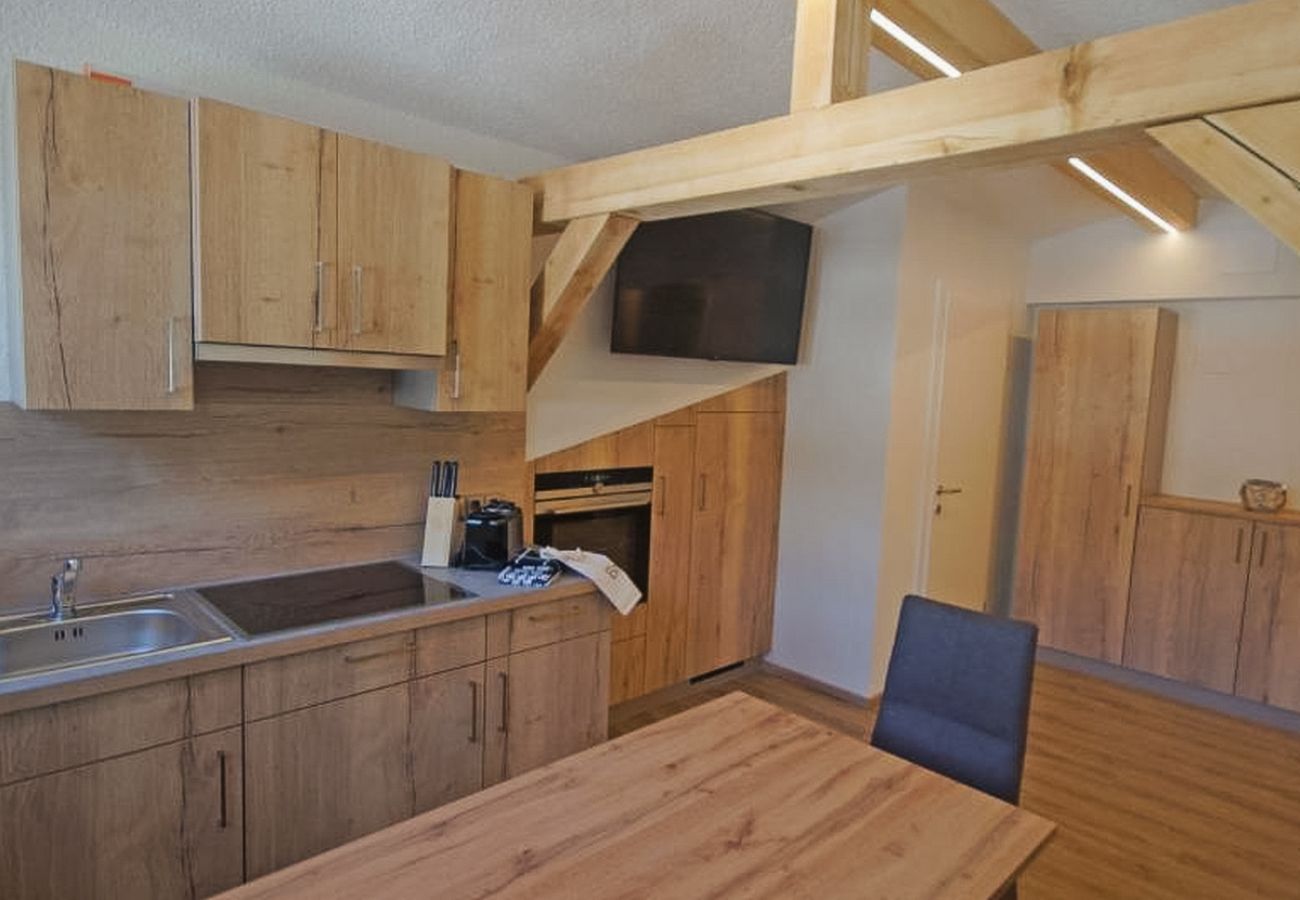 Appartement in Dienten am Hochkönig - Apartment Haus Dienten - Top 9