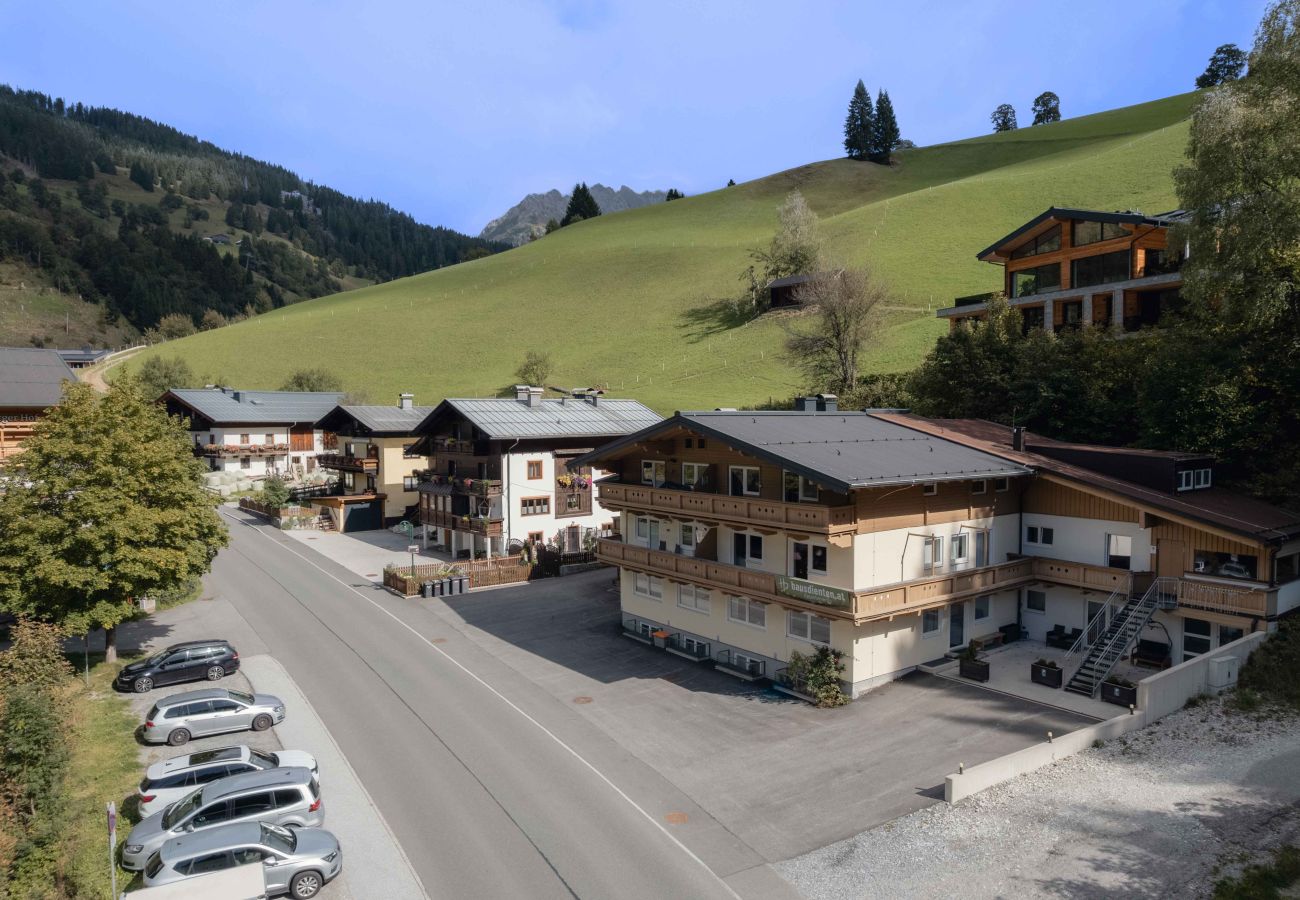 Appartement in Dienten am Hochkönig - Apartment Haus Dienten - Top 9