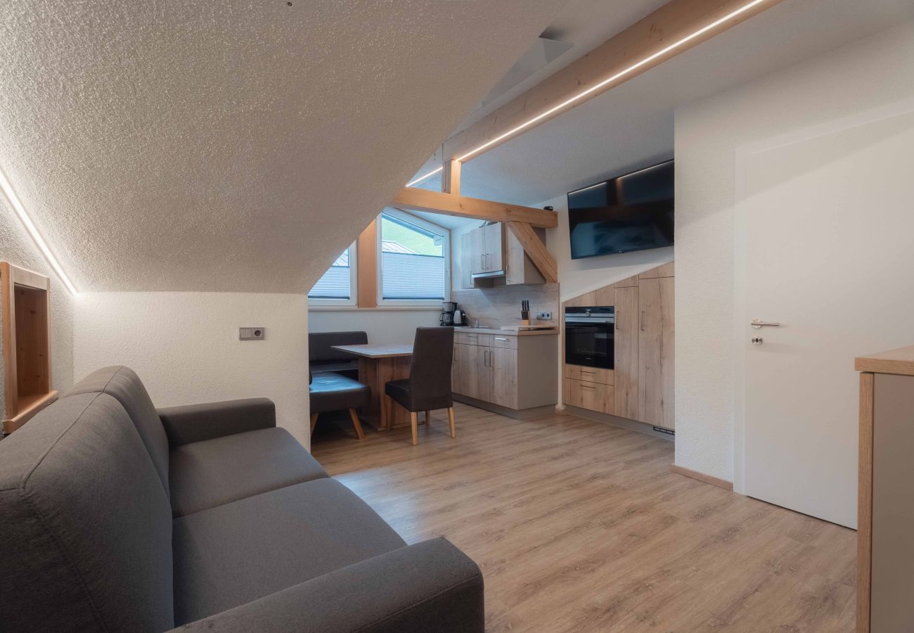 Appartement in Dienten am Hochkönig - Apartment Haus Dienten - Top 9
