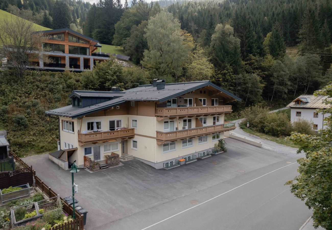 Appartement in Dienten am Hochkönig - Apartment Haus Dienten - Top 9