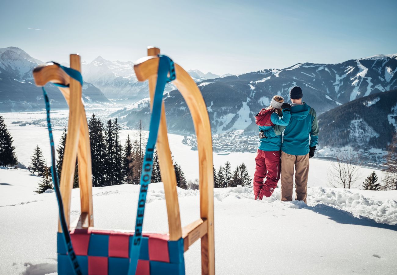 Apartment in Kaprun - Amelies Mountain View - Studio