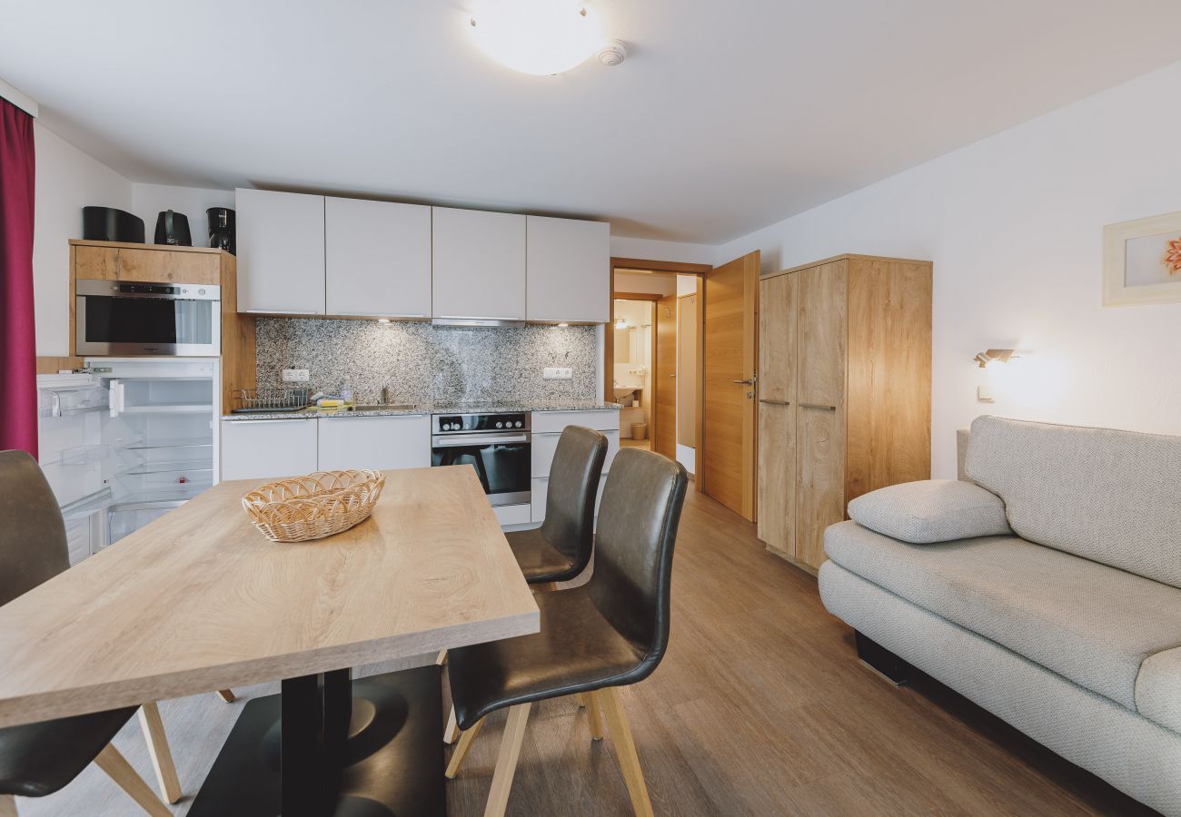 Apartment in Zell am See - Appartements Sulzer - TOP 13