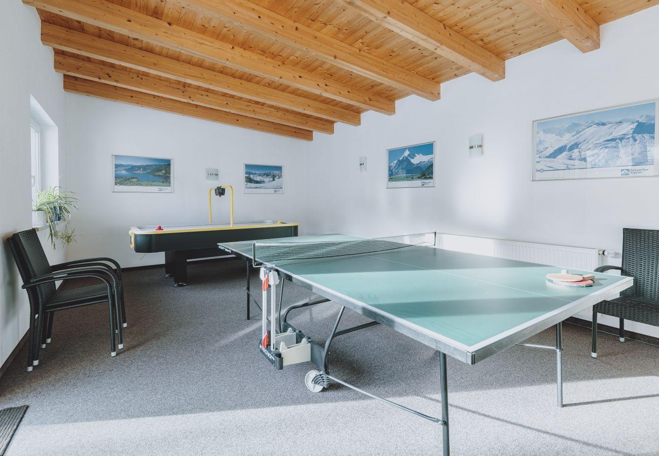 Apartment in Zell am See - Appartements Sulzer - TOP 13