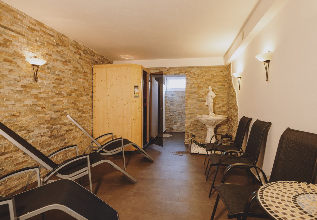Apartment in Zell am See - Appartements Sulzer - TOP 21
