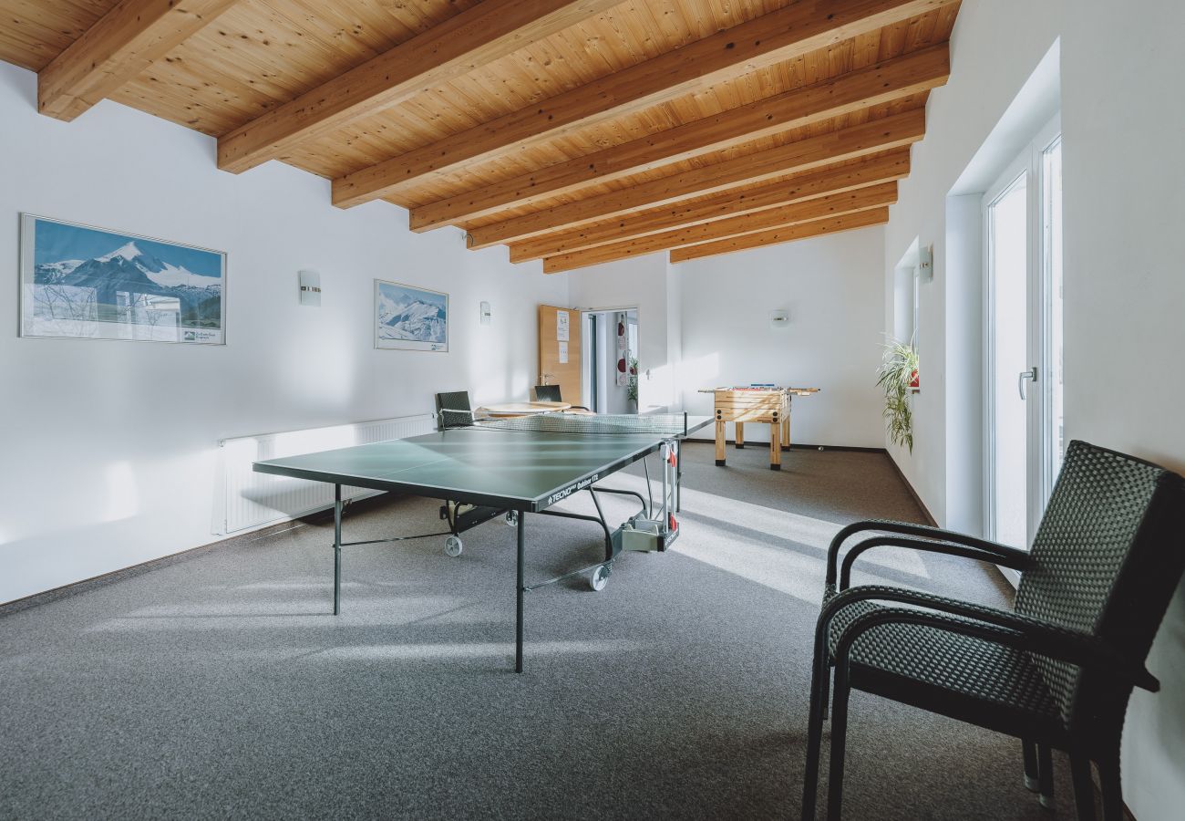 Apartment in Zell am See - Appartements Sulzer - TOP 21