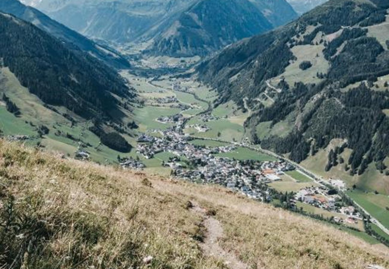 Apartment in Rauris - Appartements Enzian - TOP 3