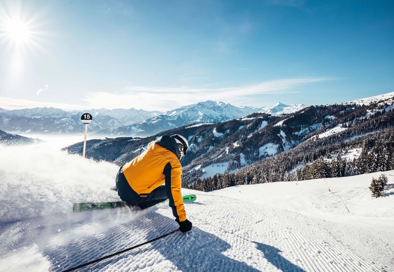 Ferienwohnung in Zell am See - Tevini Alpine Apartments - Glocknerblick