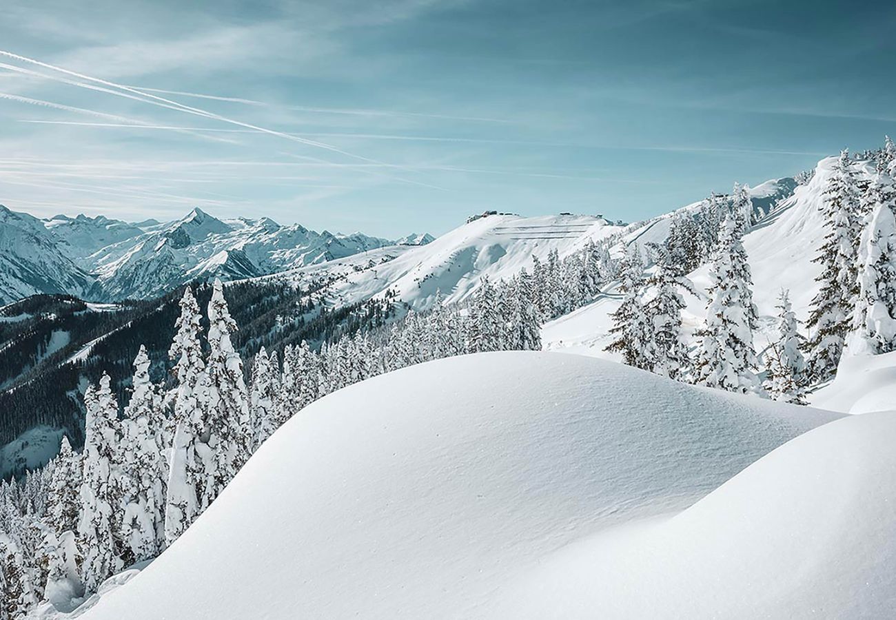 Ferienwohnung in Zell am See - Tevini Alpine Apartments - Glocknerblick