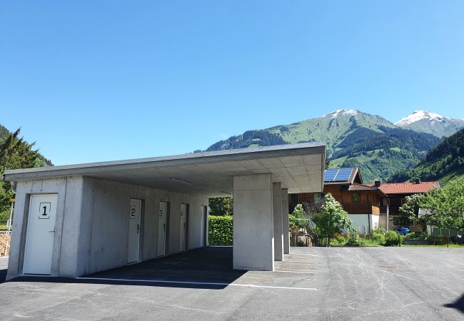 Ferienwohnung in Rauris - M1 - Penthouse Apartment Ferienwohnung in Rauris - M1 - Penthouse Apartment