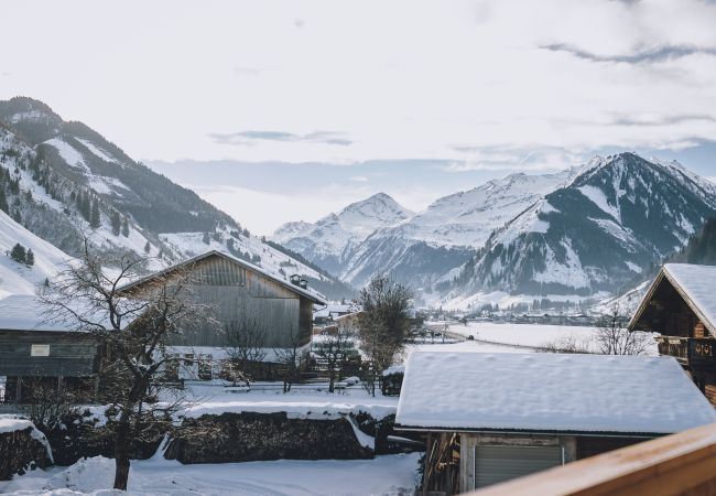 Ferienwohnung in Rauris - M1 - Penthouse Apartment Ferienwohnung in Rauris - M1 - Penthouse Apartment