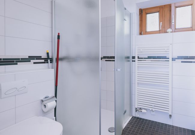 Ferienwohnung in Zell am See - Apartments Haus Altenberger #3 Bergblick Ferienwohnung in Zell am See - Apartments Haus Altenberger #3 Bergblick