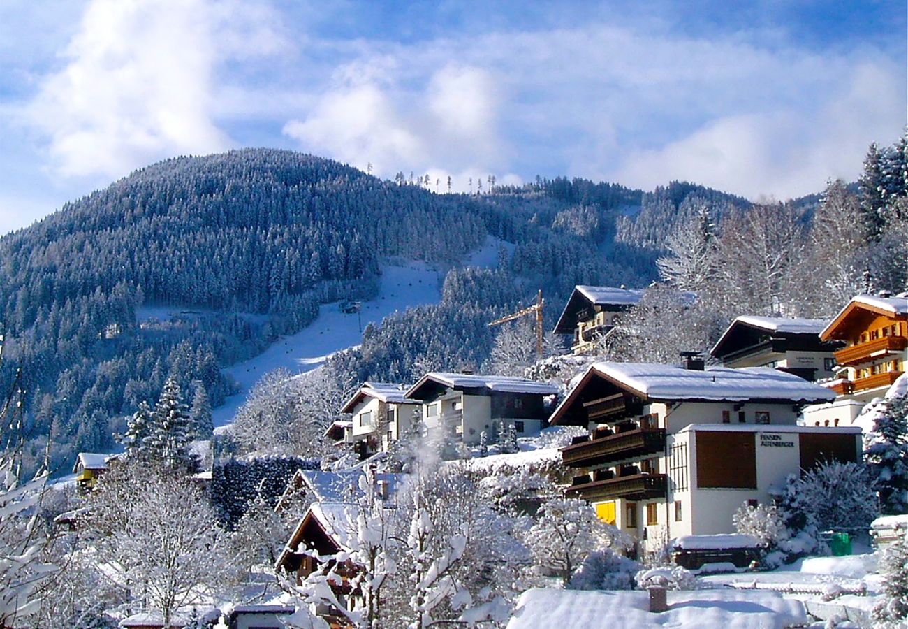 Ferienwohnung in Zell am See - Apartments Haus Altenberger - Bergblick